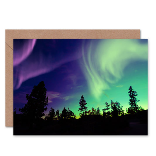 Pine Trees Silhouette Northern Lights Greeting Card