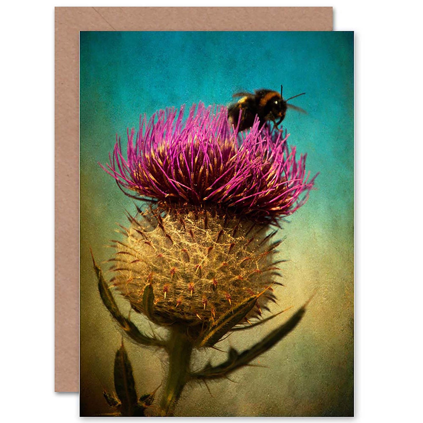 Scottish Thistle Bumblebee Scottish Card