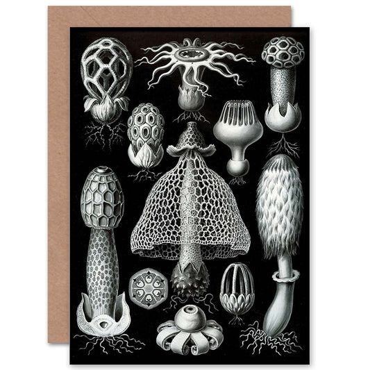 Nature Ernst Haeckel Fungus Mushroom Toadstool Biology Greeting Card