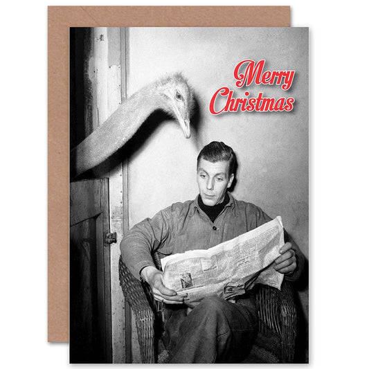 Reading News with Ostrich Funny Alternative Christmas Card