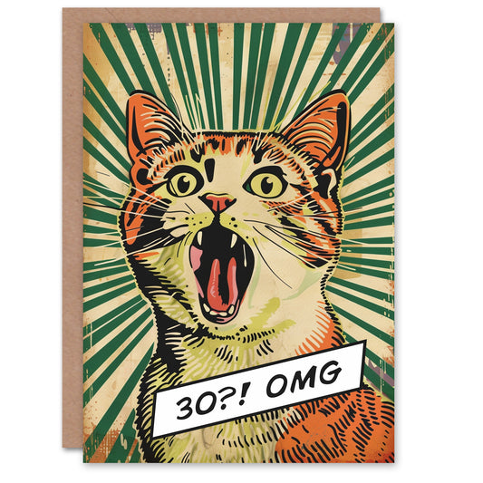 Joke 30 Omg 30th Cat Lover Comic Book Funny Adult Birthday Card