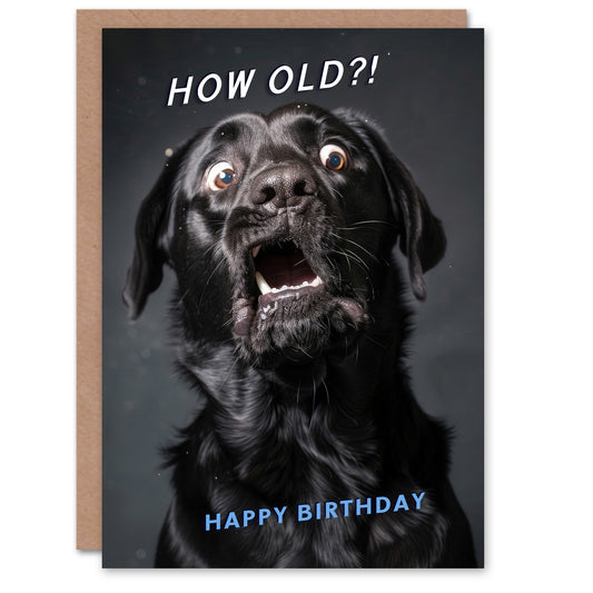 Surprise Labrador How Old Joke Funny Dog Birthday Card