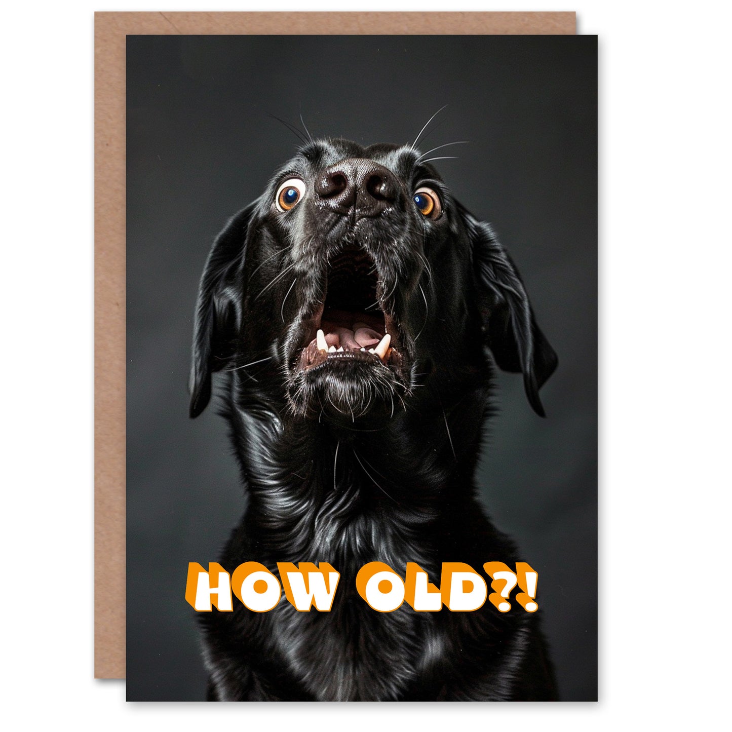 Birthday Card Shocked Black Labrador Dog Photo How Old Funny Joke