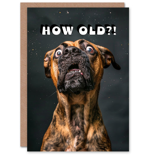 Birthday Card Shocked Boxer Dog Photo How Old Funny Joke Cheeky