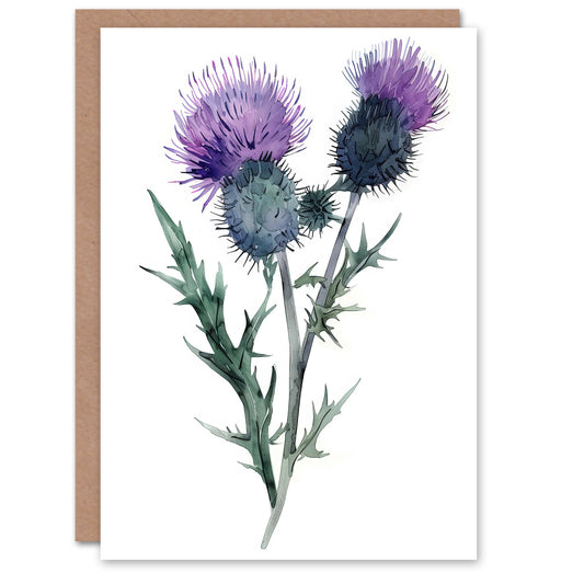 Two Scottish Thistle Flower Blooms Watercolour Greeting Card