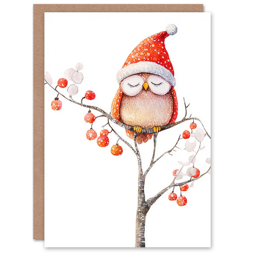 Cute Santa Hat Owl On Winter Tree With Baubles Christmas Card