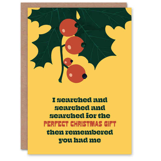 I Searched For The Perfect Gift Funny Cheeky Christmas Card
