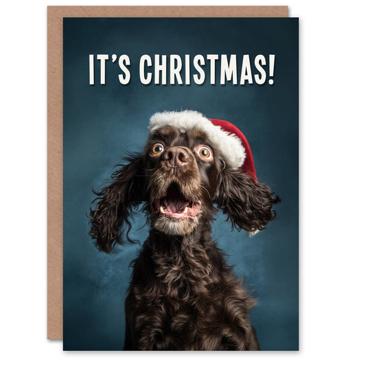 Christmas Card Cocker Spaniel Photograph Dog in Santa Hat Funny