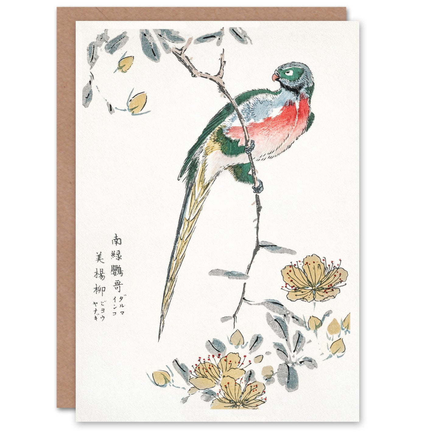 Numata Kashu Macaw Parrot and Peach Flowers Greetings Card