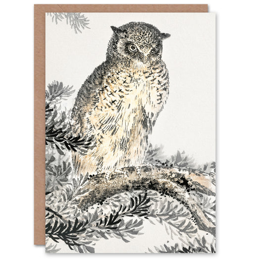 Numata Kashu Scops Owl on Fir Tree Japanese Greetings Card