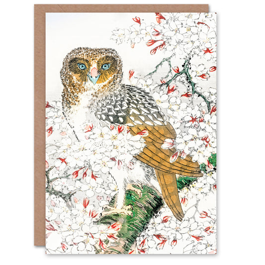 Numata Kashu Short Eared Owl on Cherry Blossom Tree Greetings Card