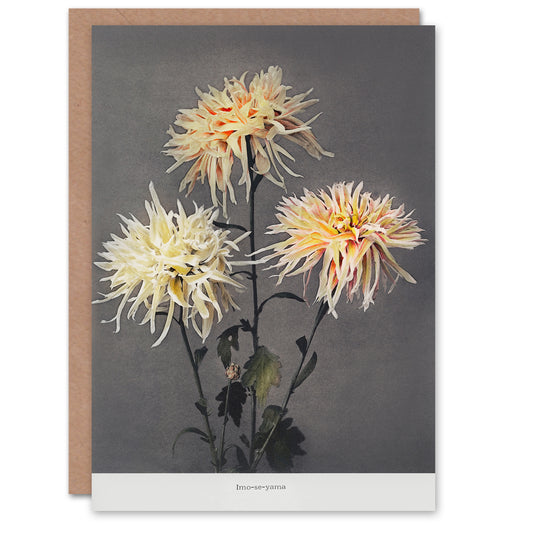 Ogawa Kazumasa Japanese Chrysanthemums Vintage Floral Greetings Card