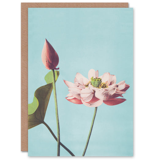 Ogawa Kazumasa Japanese Pink Lotus Flower Blooms Greetings Card