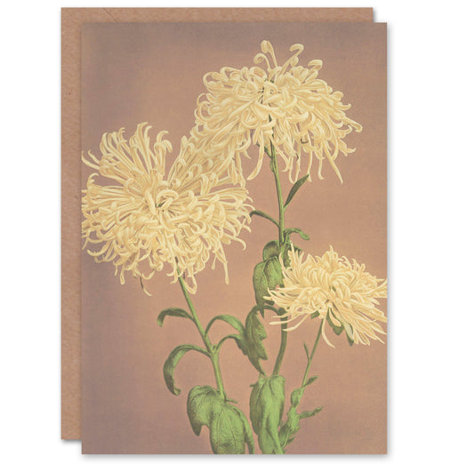Ogawa Kazumasa Japanese Three Yellow Chrysanthemums Greetings Card