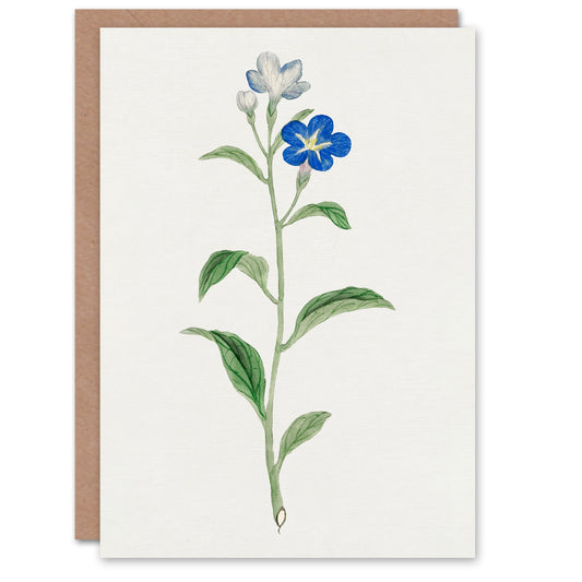 Vintage Japanese Botanical Blue Flower Greetings Card
