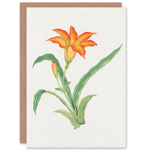 Vintage Japanese Botanical Orange Lily Flower Greetings Card