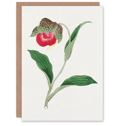 Vintage Japanese Botanical Orchid Flower Greetings Card