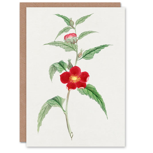 Vintage Japanese Botanical Pomegranate Flower Greetings Card