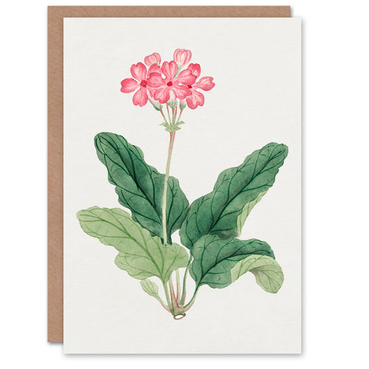 Vintage Japanese Botanical Sakura Flower Greetings Card