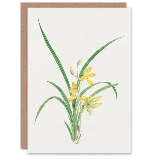 Vintage Japanese Botanical Yellow Lilies Greetings Card