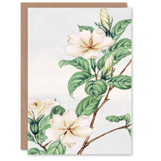 Megata Morikaga Cape Jasmine Vintage Japanese Greetings Card