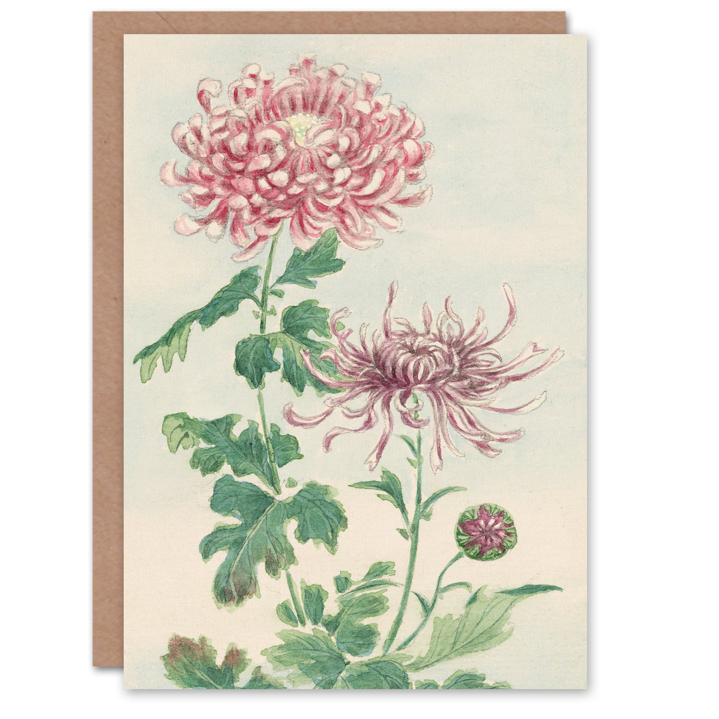 Megata Morikaga Kiku Chrysanthemum Flowers Greetings Card