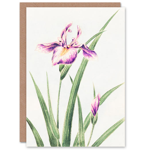 Megata Morikaga Orchid Flower Vintage Japanese Greetings Card