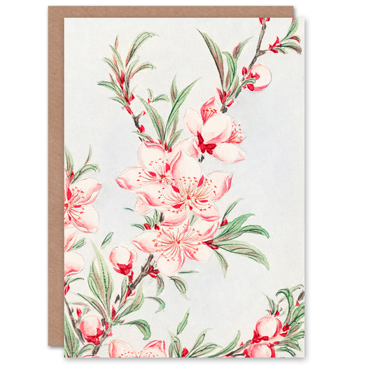 Megata Morikaga Peach Tree Blossoms Ukiyo-e Greetings Card