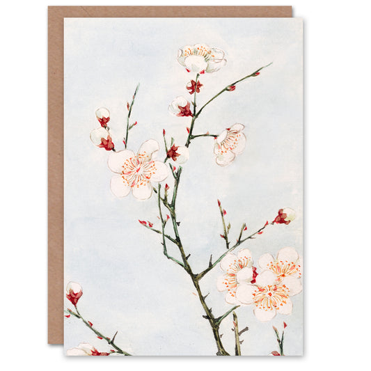 Megata Morikaga Plum Branches With Blossoms Greetings Card