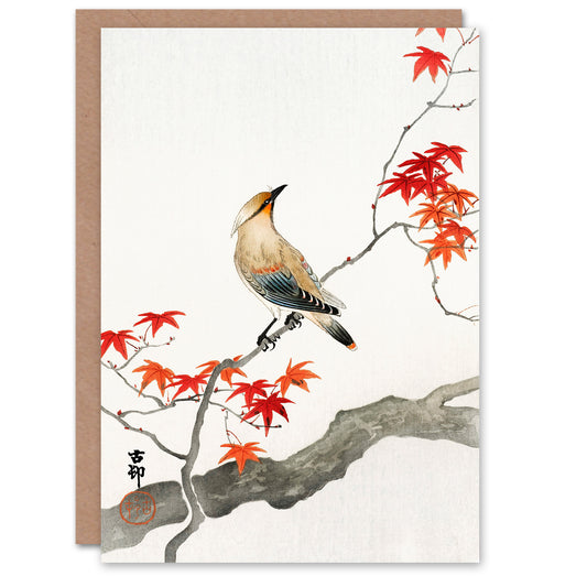 Ohara Koson Bird On Maple Tree Vintage Japanese Greetings Card
