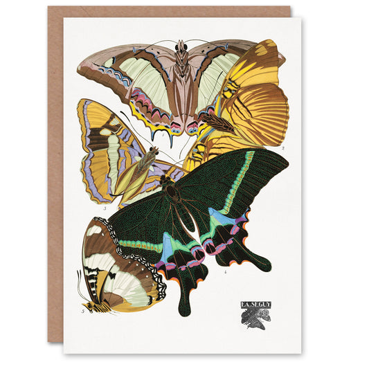 Eugene Seguy Bright Vintage Butterflies Papillons Greetings Card