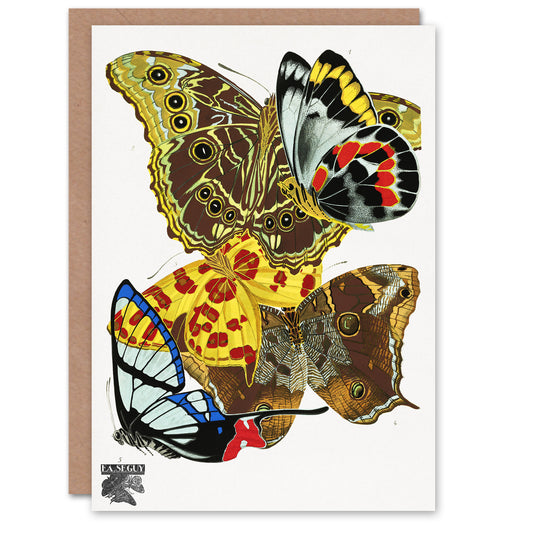 Eugene Seguy Papillons Bright Vintage Butterflies Greetings Card