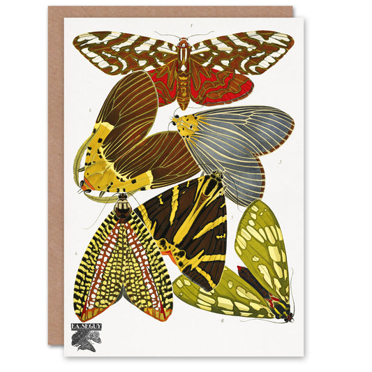 Eugene Seguy Vintage Butterfly Illustration Greetings Card