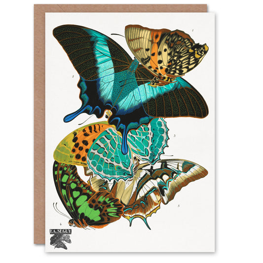 Eugene Seguy Vintage Colourful Butterflies Greetings Card