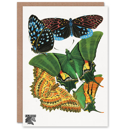 Eugene Seguy Vintage Vibrant Butterflies Papillons Greetings Card