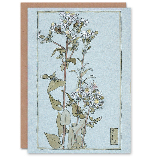 Hannah Borger Overbeck Aster on Green Ground Greetings Card