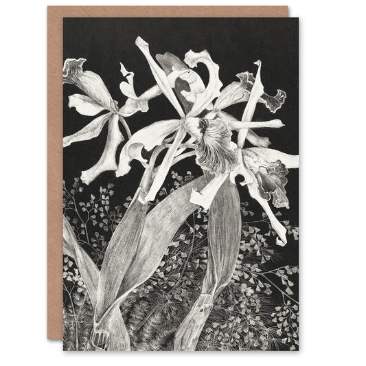 Theo van Hoytema Orchids Black and White Floral Greetings Card