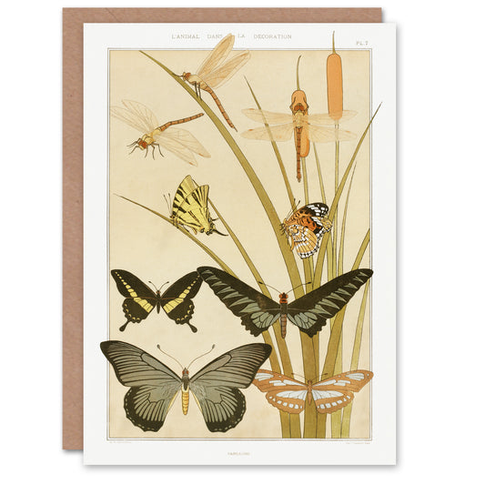 Maurice Pillard Verneuil Butterflies and Dragonflies Greetings Card
