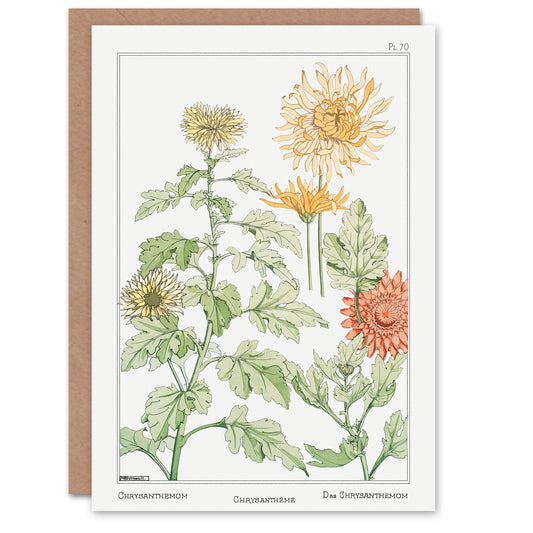 Maurice Pillard Verneuil Chrysanthemum Flower Greetings Card