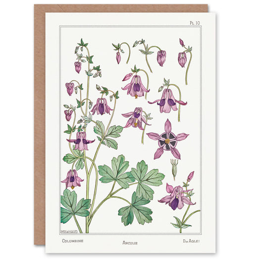 Maurice Pillard Verneuil Columbine Aquilegia Flower Greetings Card
