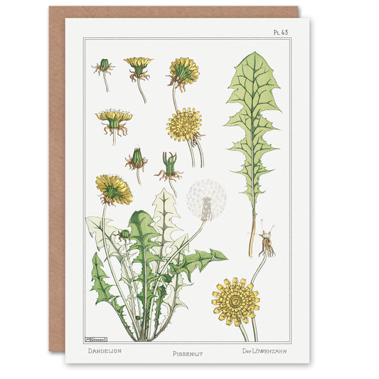 Maurice Pillard Verneuil Dandelion Flower Plant Greetings Card