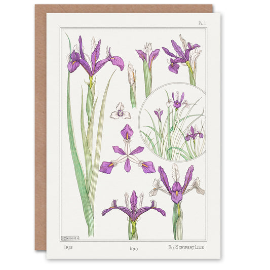 Maurice Pillard Verneuil Purple Iris Flower Greetings Card