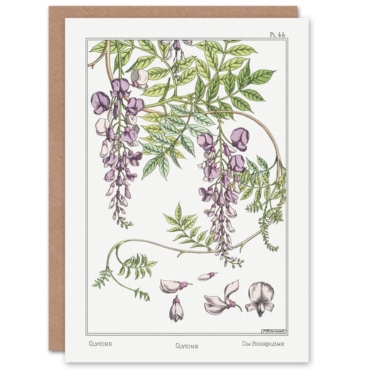 Maurice Pillard Verneuil Wisteria Flower Greetings Card