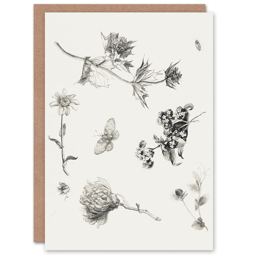 Theo van Hoytema Flowers Leaves and Butterfly Drawing Greetings Card