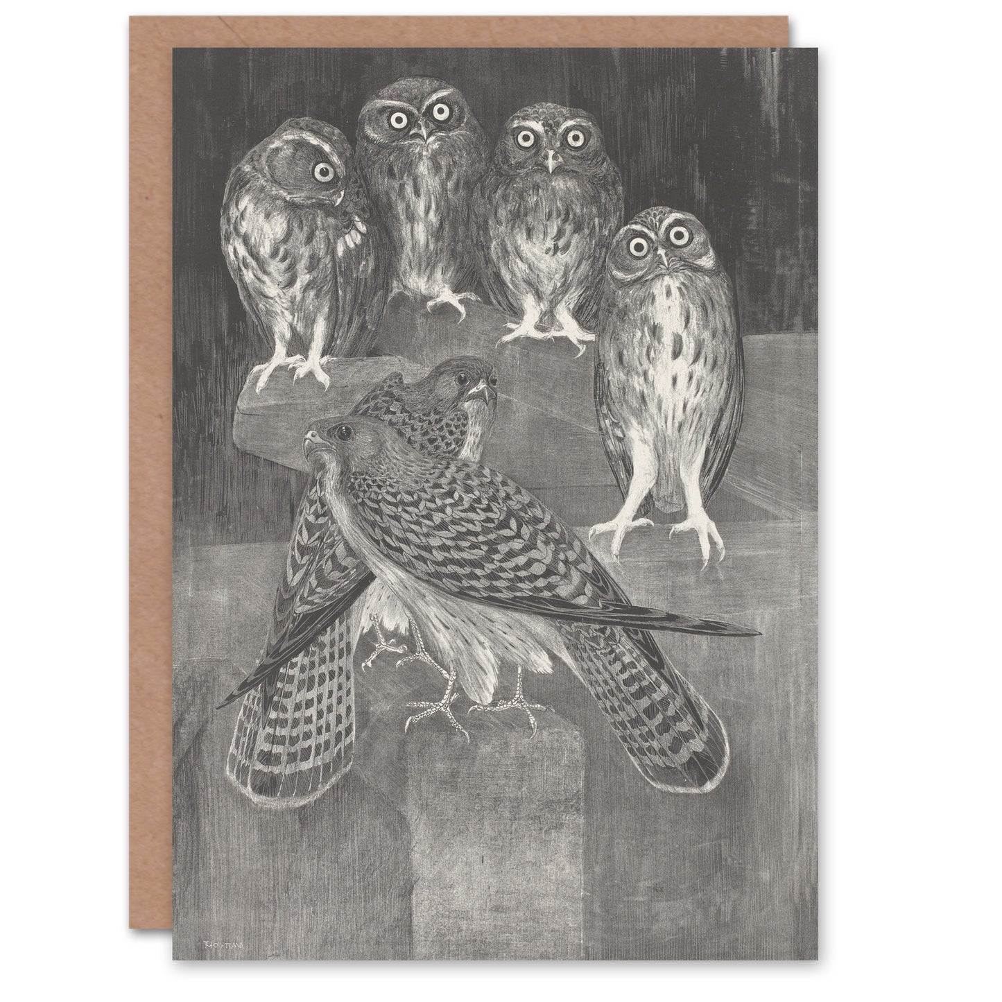 Theo van Hoytema Four Owls and Two Kestrels Greetings Card