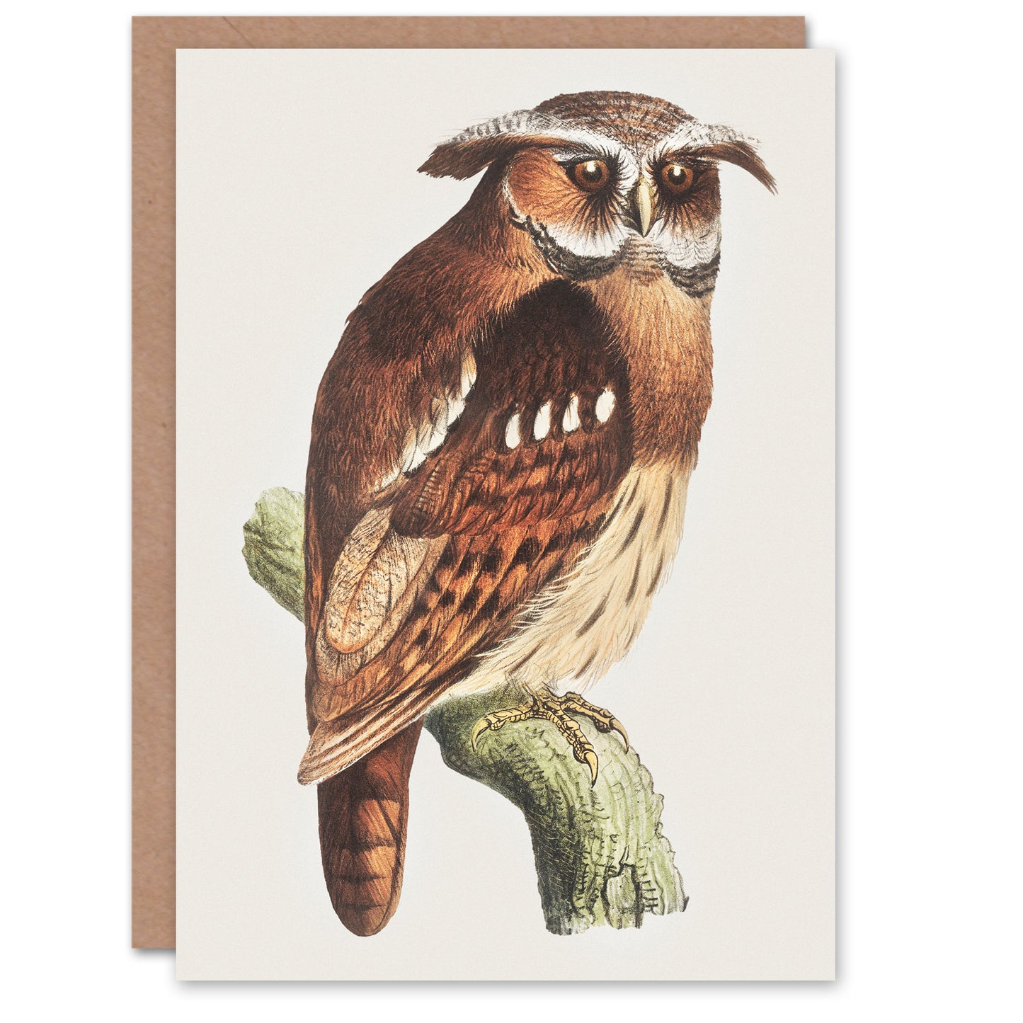 Theo van Hoytema Eagle Owl Perched on a Branch Greetings Card