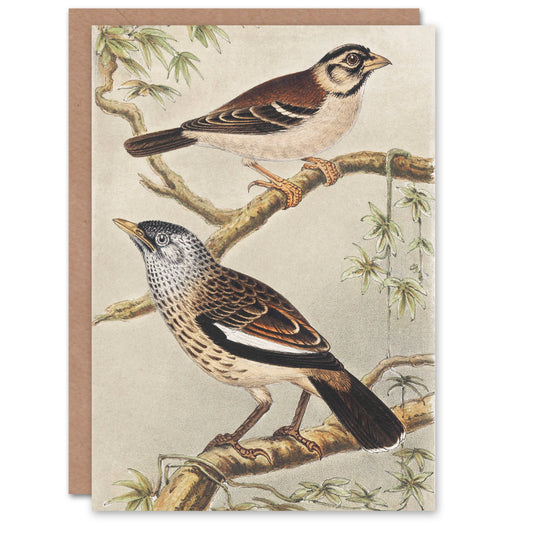 Theo van Hoytema Two Birds on Tree Branches Greetings Card
