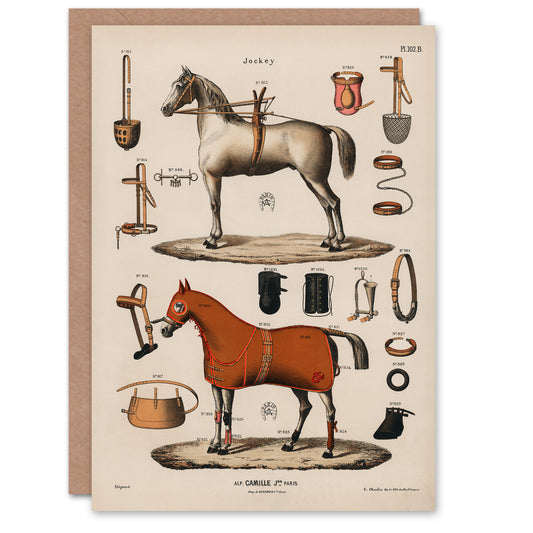 Alp Camille Jeune Art Card Vintage Horseback Riding Equipment