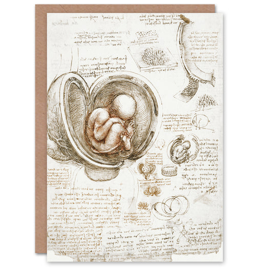Leonardo da Vinci Art Card Studies of the Foetus in the Womb