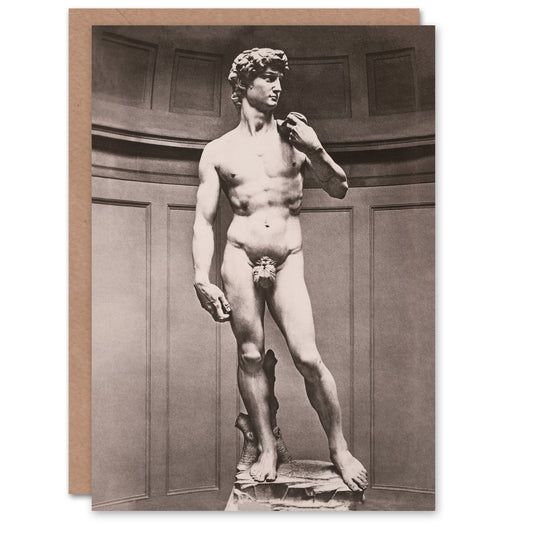 Michelangelo Art Card Statue of David Vintage Photograph